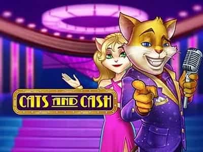 Cats and Cash