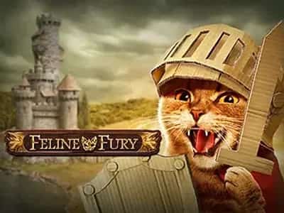 Feline Fury